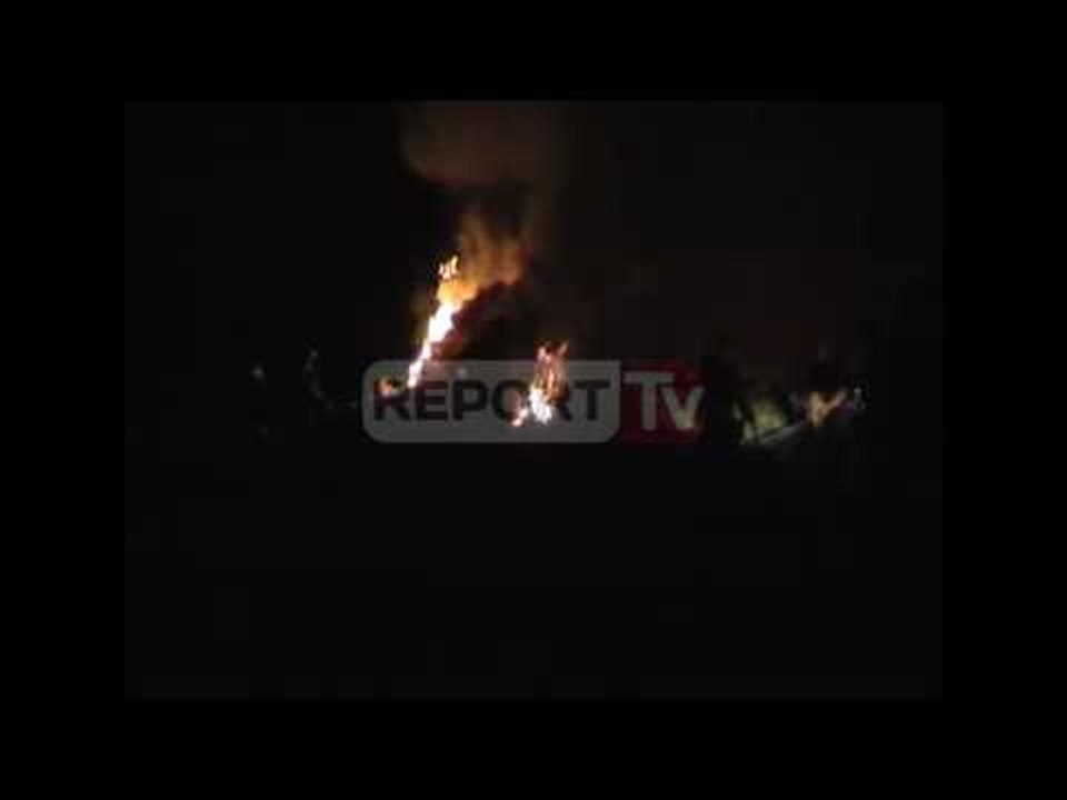 Report TV - Lushnje, sekuestrohen 9200 rrënjë kanabis, u gjet në një serë