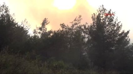Hatay - Sabah Yangın Tatbikatı Yapıldı, Öğleden Sonra 25 Hektarlık Orman Yandı