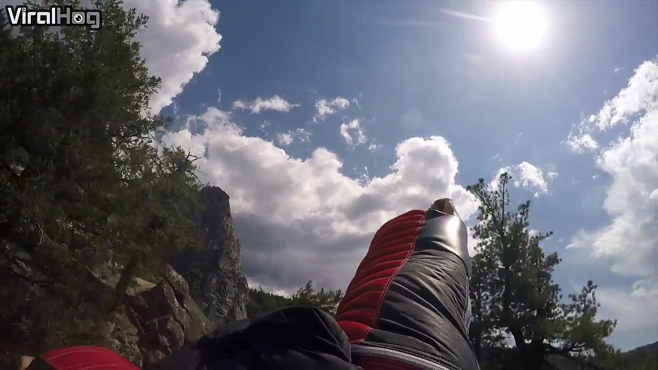 Wingsuit VS Faucon pelerin... Magique