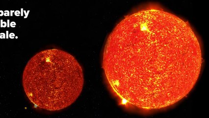 209 Seconds That Will Make You Question