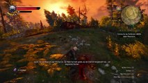 Let`s Play The Witcher 3 Wild Hunt  German HD - Spurensuche - # 05