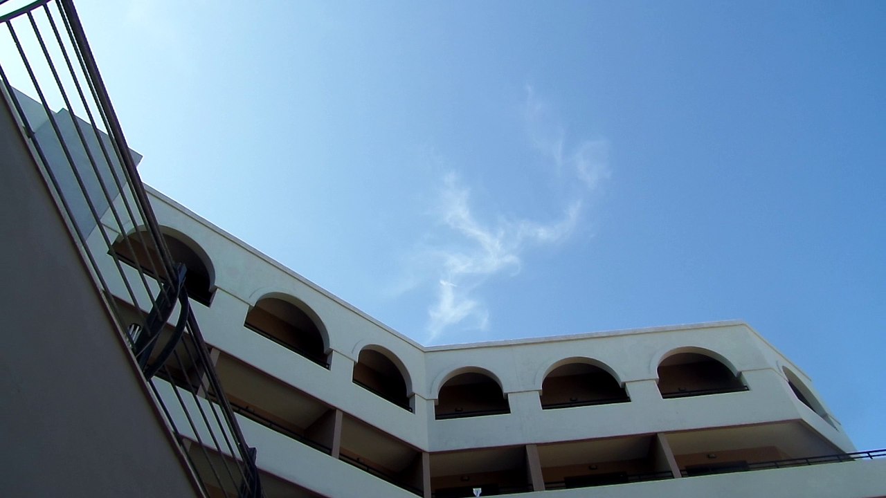 What's that, what's that?