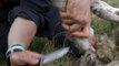 Bear Grylls in Ireland, extracting a sheep of a swamp and eating its raw heart, HQ