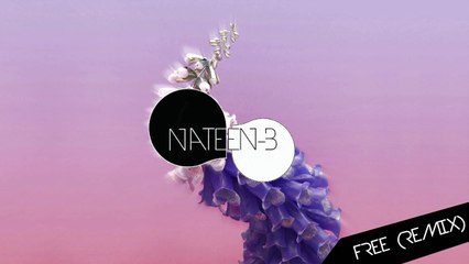 Flume - Free (Nateen-B Remix)