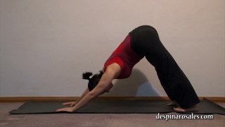 Three Basic Yoga Poses (3 min)