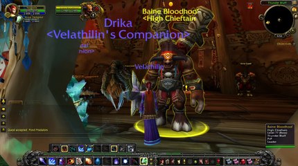 World of Warcraft - Baine Bloodhoof of Thunder Bluff
