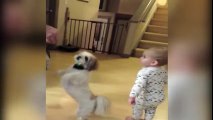 Baby Copies Dog for a Treat -