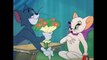 Tom and Jerry - Episode 55 - Casanova Cat (1951) (1)