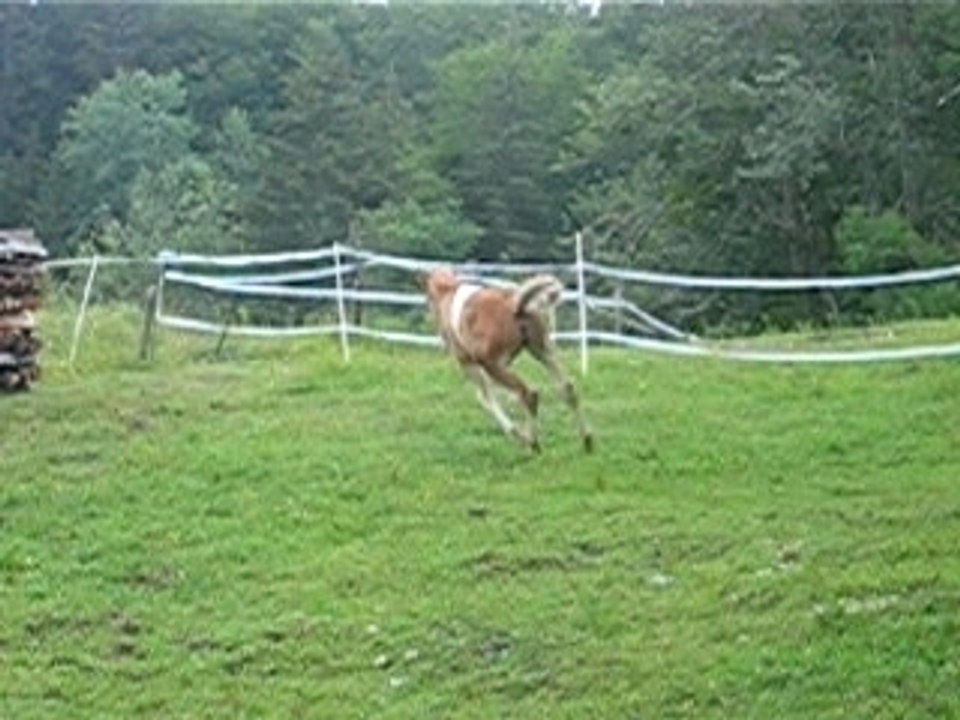 05JUIL07 016