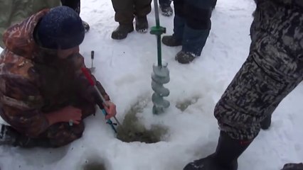 русалку поймали