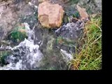 Baños de Fitero[vídeo 15]