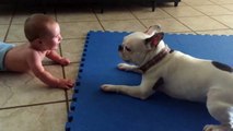 Un chien tourne sur lui-même pour faire rire un bébé