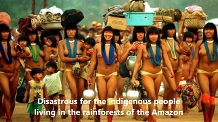 Amazing of People Live in Amazon Rainforest   Full Documentary