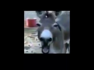 -یہ ویڈیو بچوں کی پہنچ سے دور رکھیں -اٹھارہ سال سے کم عمر ویڈیو مت دیکھیں