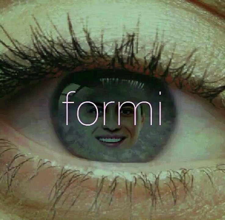 Dragon Transformation Made with formi