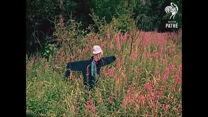 The Pink Floyd Scarecrow (1967)