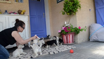 babies freddy lisa 1 months (4/4)