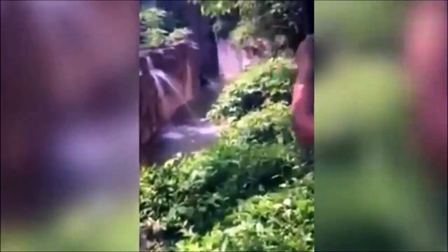 Le groupe Anonymous déclare la guerre aux parents du petit garçon tombé dans l'enclos à gorille