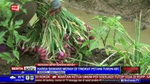 ABMI Tolak Rencana Pemerintah Impor Bawang Merah