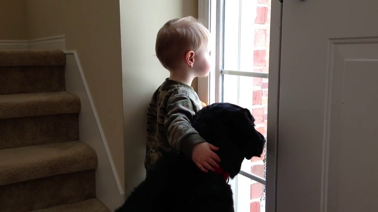 Le chien triste attend le retour de ses maîtres, mais regardez bien la main du petit garçon!