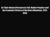 Read As Their Natural Resources Fail: Native Peoples and the Economic History of Northern Manitoba