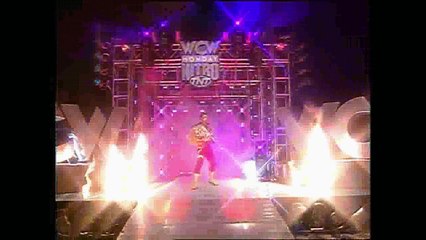 20.11.1995 - Hulk Hogan Vs. Sting