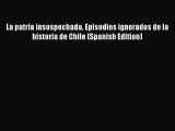 Download La patria insospechada. Episodios ignorados de la historia de Chile (Spanish Edition)