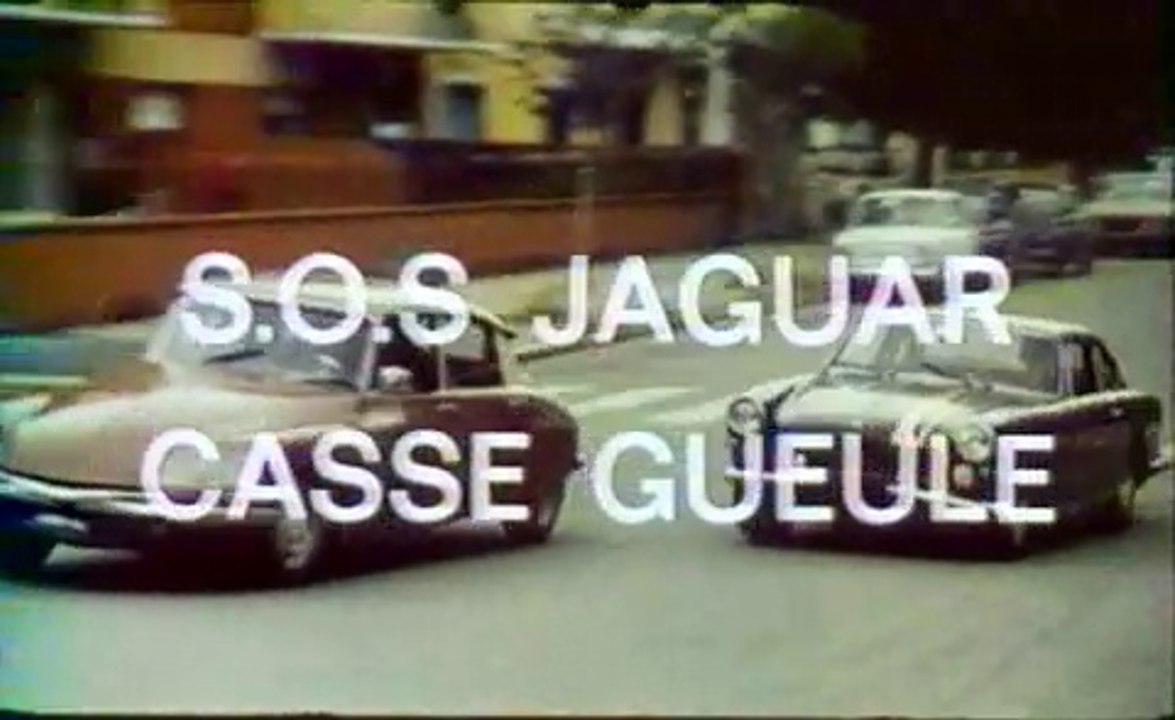 S.O.S Jaguar Opération Casse Gueule - Stelvio Massi