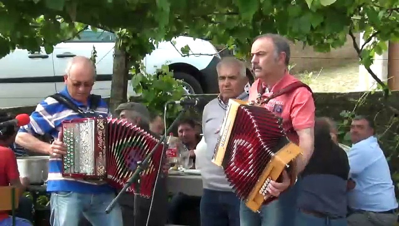 Chegada de Pombos de Vilarrobledo ( ESPANHA) Parte 3