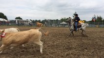 Compétition d'équitation équestre de tri de bétail