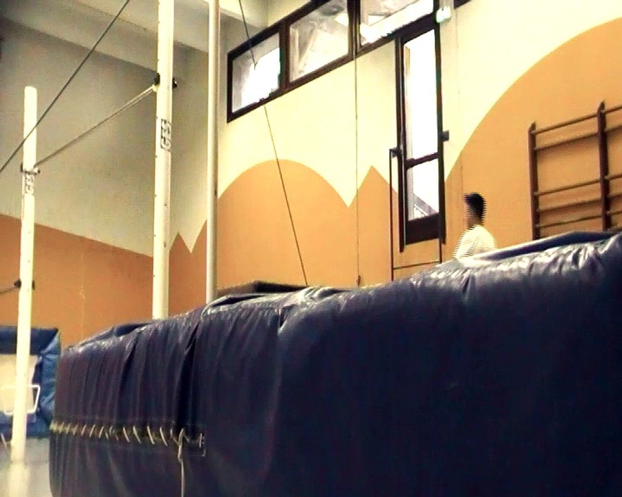 Henri Mauriès Sortie Salto Barres Parrallèles