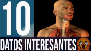 10 datos interesantes del cuerpo humano