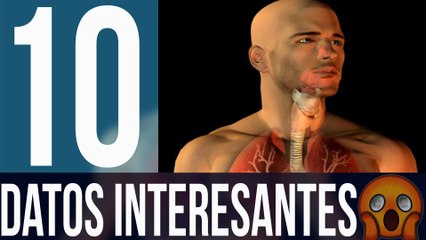 10 datos interesantes del cuerpo humano