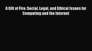 Download A Gift of Fire: Social Legal and Ethical Issues for Computing and the Internet E-Book