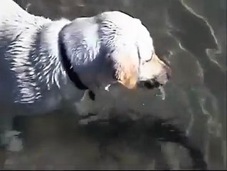 This is called LOVE.