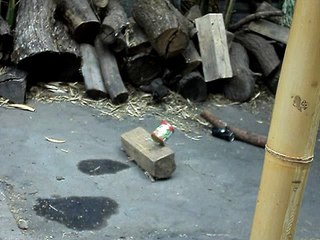 gamo ts-10 con rifle de aire 4,5 latas a 20 metros