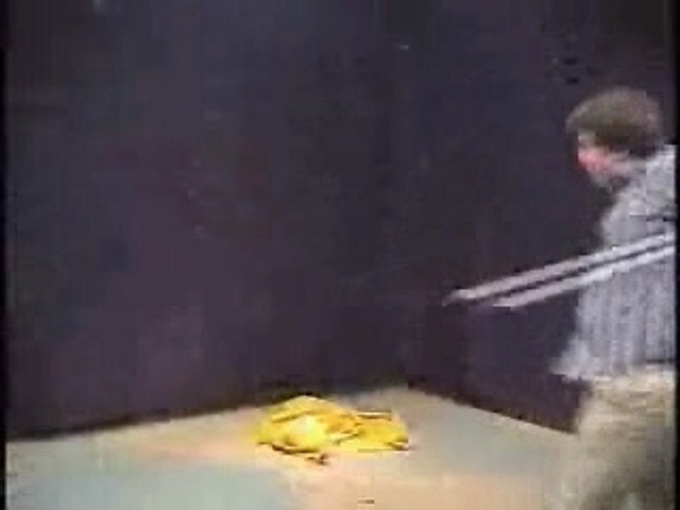 Starwars Kid Original Video