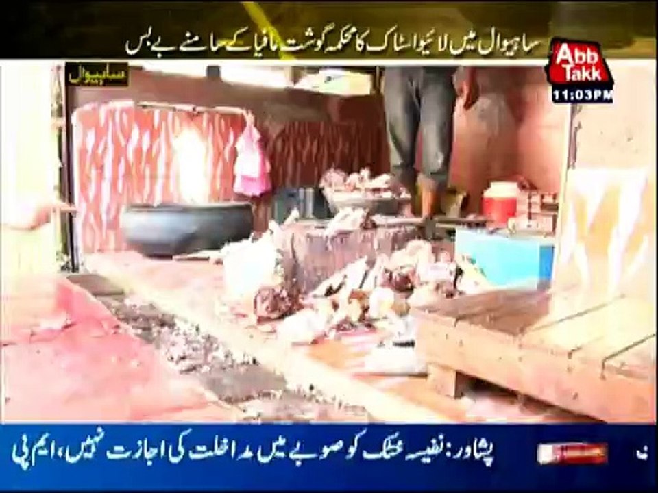 Pardah Fash - 4th June 2016