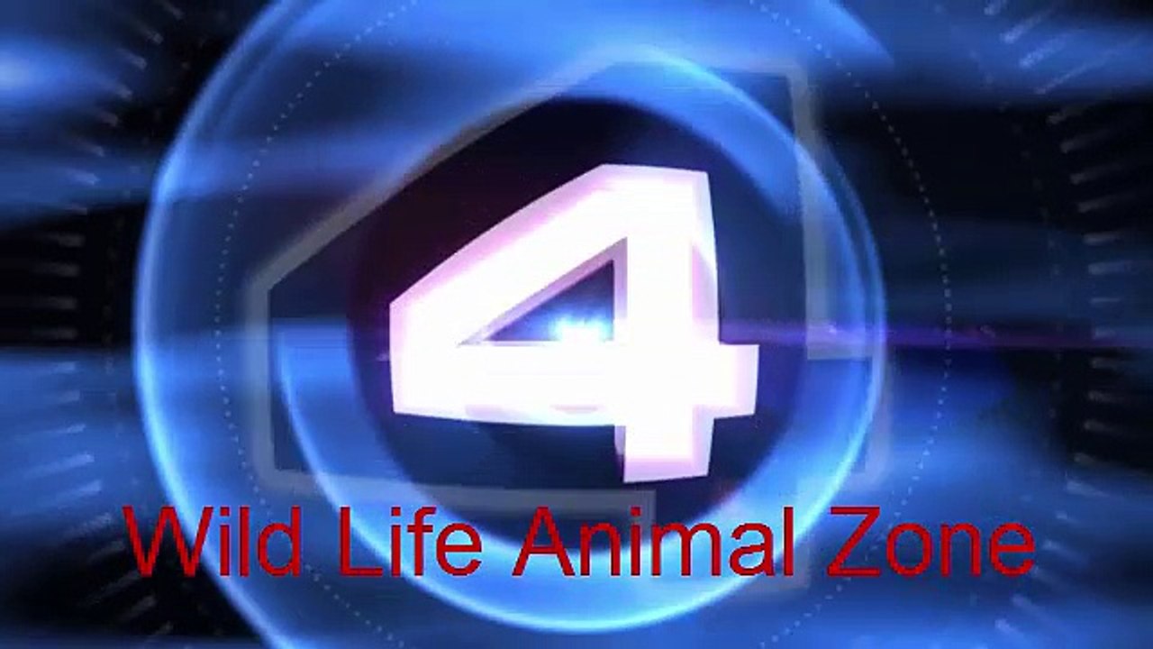 60 Hyenas (2 Different Clans) come together - 4th June 2016 - Video Dailymotion