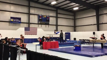 01-10-16 Grey on Parallel Bars