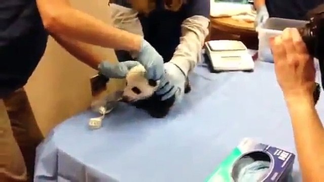 И такое бывает