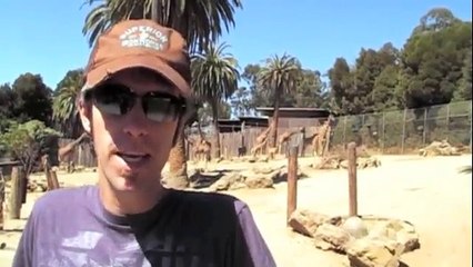 Weekly Announcements- Oct. 29, 2012