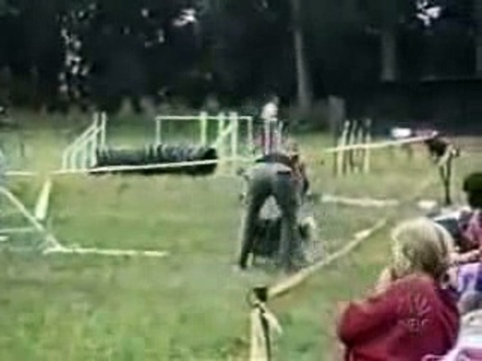 Всякие недуачки (2 часть)
