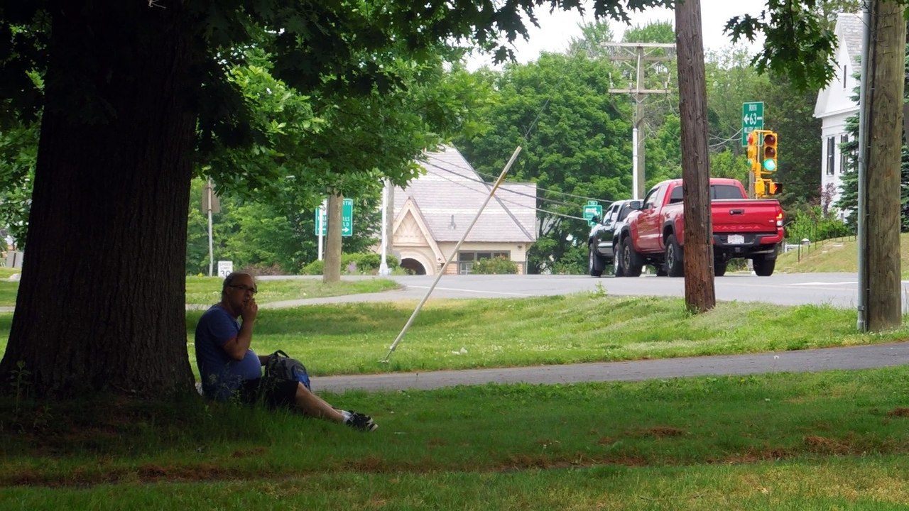 The Lunatic is on the Grass    771