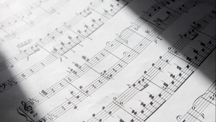 Mozart - Bassoon Concerto in B Flat Major, K. 191 - I. Allegro