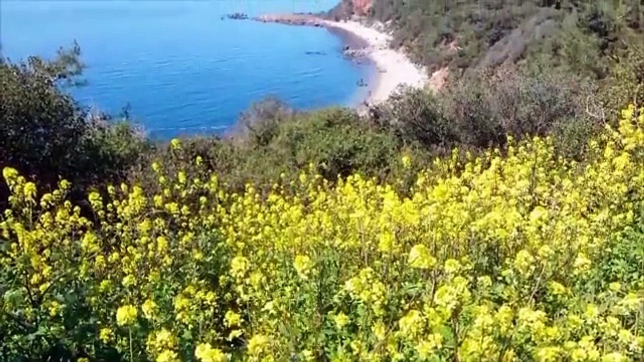 Sevinç Eratalay - Bekle Bizi İstanbul