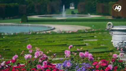 Oksijen: mucizevi hayat kaynağımız