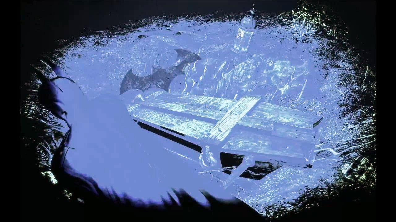 Batman : Arkham Asylum (10)