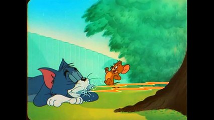 Tom and Jerry - 53 Episode - The Framed Cat (1950)