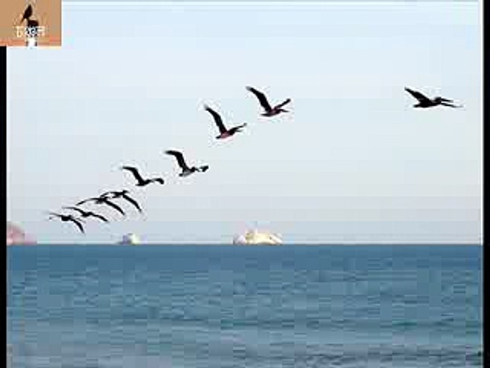 KOTHA JE UDHAO HOLO   DEBABRATA BISWAS